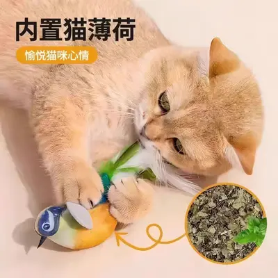 Kedi oyuncağı kuş sesi, interaktif, yavru kedi için
