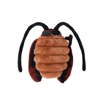 Feiqi Catnip Sound Toy, Realistic Cockroach Design - 5