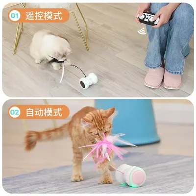 Remote Control Electric Cat Toy, Smart Balance Car, Feather - 3