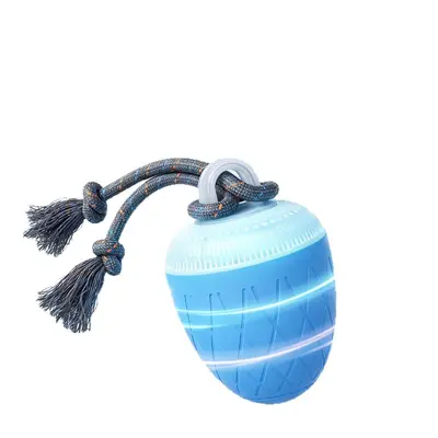 Beixiao'er Smart Electric Dog Toy Ball, ETPU with Sound, Light & Rope O20 - 5