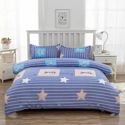 Brushed bedding single piece bedding set wholesale dormitory top and bottom sheets double bedding pillowcase bulk special treatment - 5