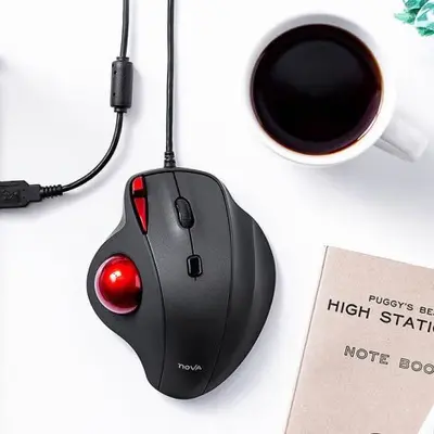 SANWA SUPPLY Nova Ergonomische Trackball-Maus GMATB167