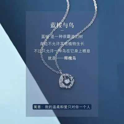 蓝桉与鸟S999足银项链女生2024新爆款轻奢小众七夕生日礼物送女友