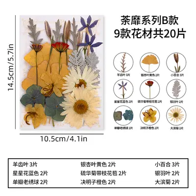 DIY Photo Frame Craft Kit with Dried Real Flowers and Plant Specimens - 8