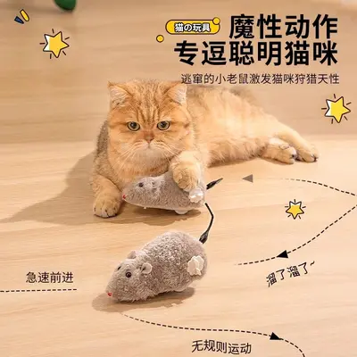 Realistic Electric Mouse Cat Toy 2-Piece Set - 3