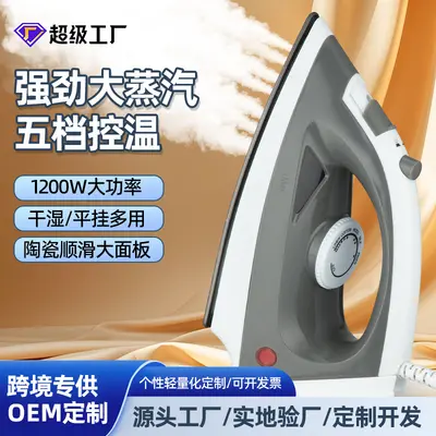 Cross-border steam handheld iron steam ironing machine garment steamer high-power high-temperature sterilization dual-use dry and wet explosive spray