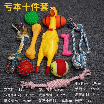 Sesli köpek oyuncak seti, eğitim için, küçük ve orta ırk - 6