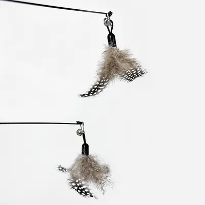 CFA Wooden Handle Cat Teaser Wand with Feather, Bell and Replacement Heads - 4