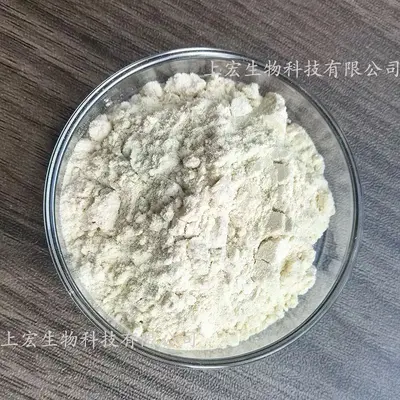 安琪酵母蛋白粉无蔗糖无脂肪平替乳清蛋白粉批发现货安琪酵母蛋粉