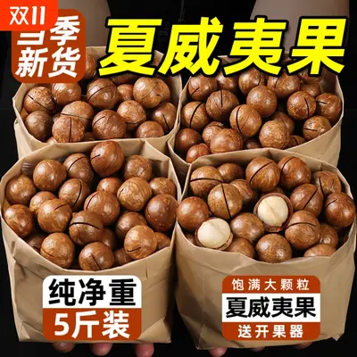 Large-Kernel Macadamia Nuts Snack, Bulk Case, Loose Weighed