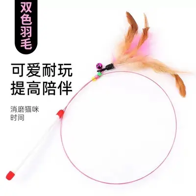 CFA Cat Teaser Wand, Long Pole with Feathers, Chew-Resistant, Replaceable Head - 12