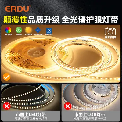 Intelligente COB-Lichtleiste CB CE ETL US-zertifiziert Doppelfarben-Dimmbar Wohnzimmer Dual-Line-Lichtleiste