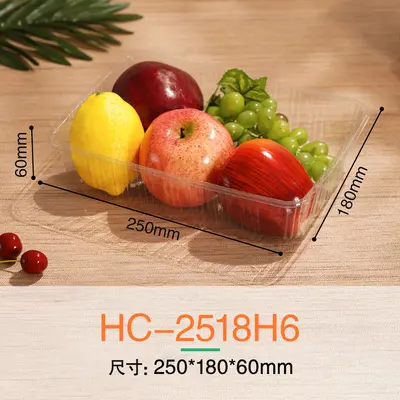 Einweg-Obst-Verpackungsbox mit Deckel, Frischgemüse-Kunststoffverpackungsbox, PET-Lebensmittelqualität, transparente Obstschnittbox - 4