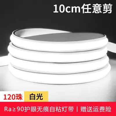 cob灯带超亮LED家用高压220V自粘吊顶硅胶工程户外工地防水软灯条 - 7