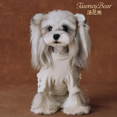 Dog Clothes Autumn Winter, Polka Dot Lace Button Base Shirt - 7