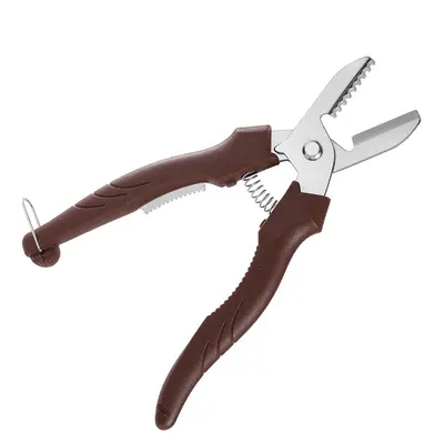 Chestnut Peeling Scissors, Shell Opener Kitchen Scissors