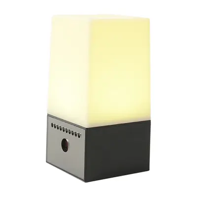RGB atmosfer ışığı kamera, WiFi, HD, gece görüşü - 8