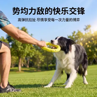 Dog Pull Ring Toy, Wave Star Pattern, High-Elasticity and Chew-Resistant