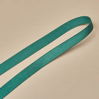 Shiny Polyester Strap Tape, 0.6-1.5 cm, Colored Elastic - 13