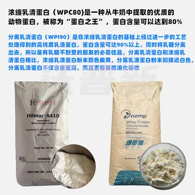 Whey Protein Isolate WPI90 Powder, 9410 Nutritional Supplement - 4