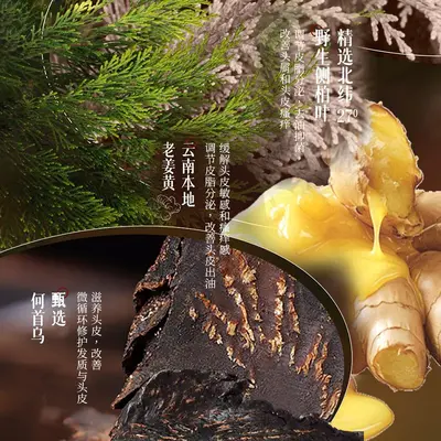 素秀臣氏侧柏叶洗发水控油蓬松草本温和养发持久留香养发洗发露L - 5