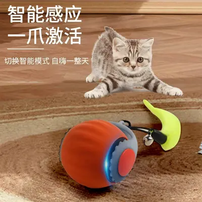 Automatic Electric Cat Teaser Ball with Mouse Wand, Self-Play Exercise Toy
