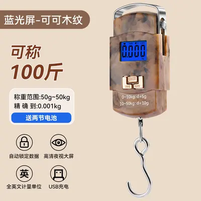 High-precision fishing express scale portable hand scale electronic weighing scale gram scale accurate vegetable sales spring hanging scale electronic balance - 9