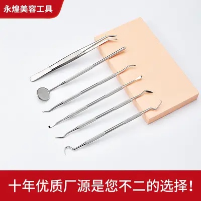 Stainless Steel Dental Scaler Set with Endoscope Probe