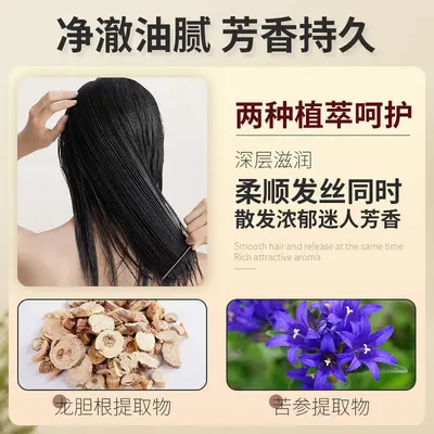 Salon Bulk Shampoo 4L with Oil Control and Anti-Dandruff - 4