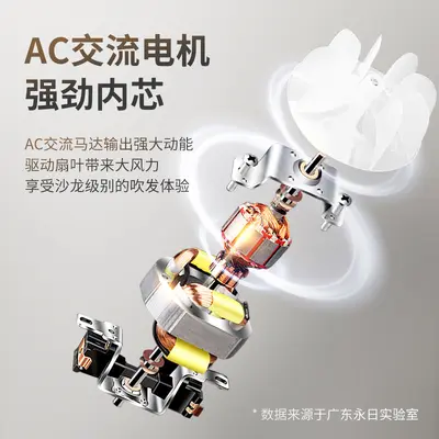 Yongri high-power blue light hair dryer manufacturer wholesale hair dryer suitable for hairdressers very fast adjustable hair dryer
