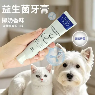 宠物牙膏套装 猫狗洁牙万根毛牙刷套装 猫咪狗狗口腔清洁宠物用品