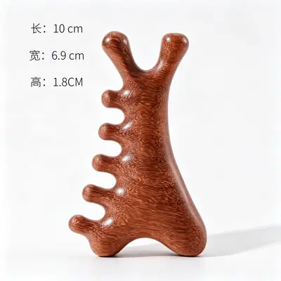 Five-Claw Head Massage Meridian Comb in Sandalwood - 11