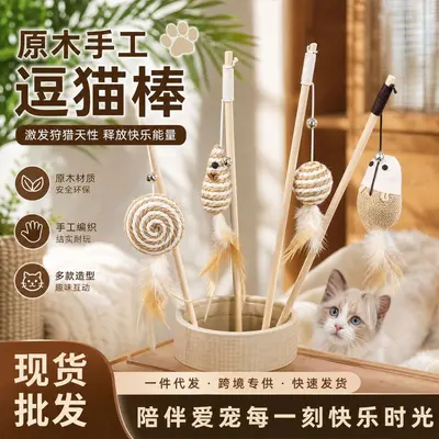 Cat Teaser Wand with Bell and Chew-Resistant Mouse Toy