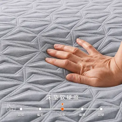 Layz Silent Independent Pocket Spring 0-Pressure Memory Foam Mattress DIY Sleep Feel Multifunctional Combination Cool Ice Silk Removable Cover