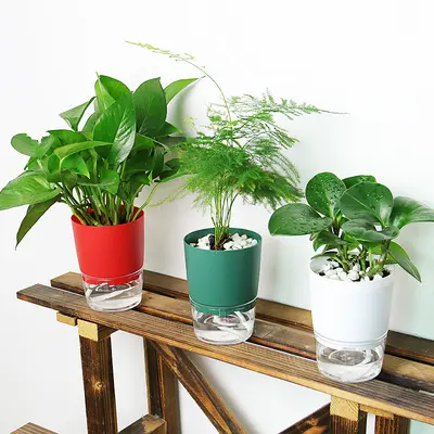 Transparent Double-Layer Self-Watering Planter, Large Diameter