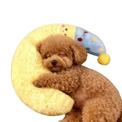 Moon-Shaped Cat and Dog Sleeping Pillow with Blue Hat, Companion Pillow