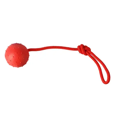 Solid Rubber Dog Training Ball with Rope, Bite-Resistant