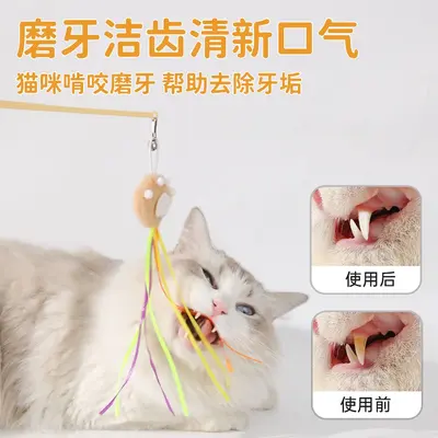 Cactus Cat Teaser Wand with Claw and Bell - 4