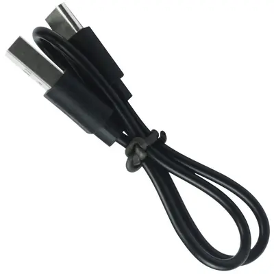 Type-C veri kablosu 0,2 m / 30 cm, USB'den Type-C'ye - 10