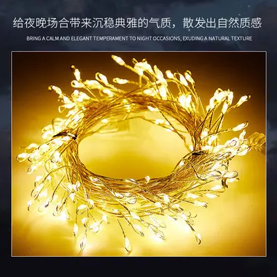 LED Copper Wire Fairy String Light, Plug-In, Christmas Decoration - 7