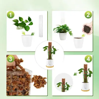 Transparent Extendable Moss Pole for Plant Climbing Support