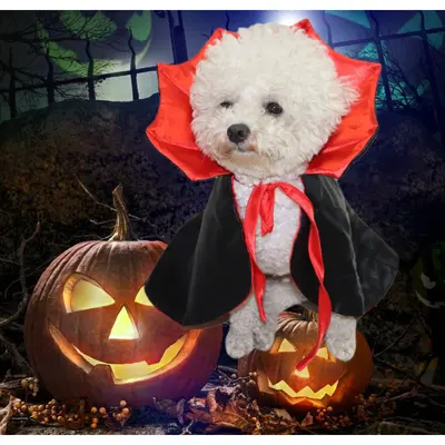 Halloween Dog Costume, Funny Alien Design, for Small and Medium Dogs - 8