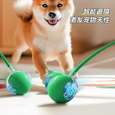 Electric Automatic Dog Walking Ball, Chew-Resistant Smart Dog Toy - 4