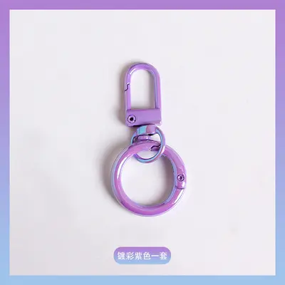 Electroplated Alloy Spring Buckle Keychain for DIY - 7