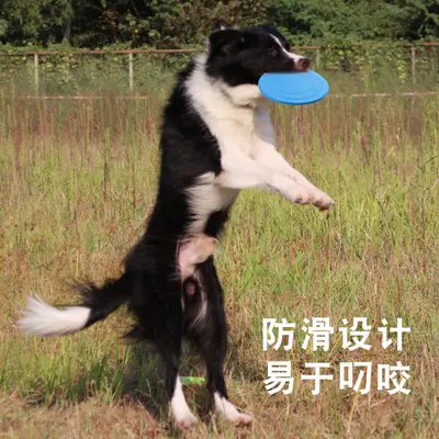Aisenwell Floating Dog Frisbee, Soft Bite-Resistant Pet Toy - 3