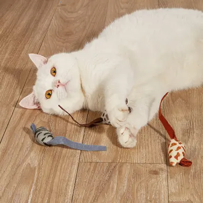 Plush Mouse Toy Set with Feathers, Durable Cat Toy - 4