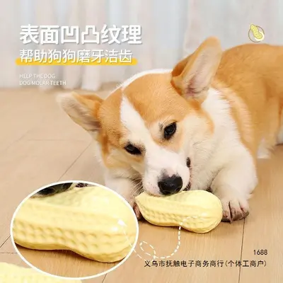 狗狗玩具大花生耐咬磨牙可爱大狗小狗解闷自嗨撕不烂1到4个月 - 3