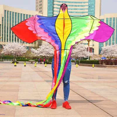 Rainbow Phoenix Kite for Adults, with Front Pole