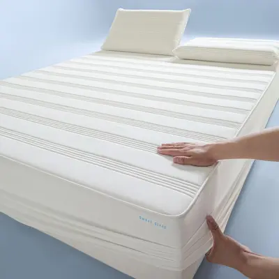 Waterproof Fully Enclosed Mattress Protector, One-Piece, Non-Slip - 8