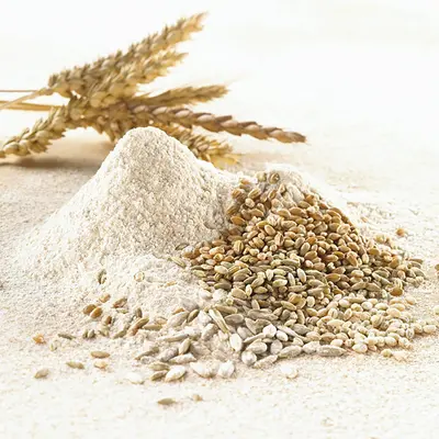 Balık yemi tozu, şişe ambalajlı, 260g, mısır unu ve gluten - 5